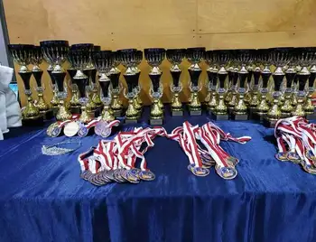Юні гімнастки з Кропивницького здобули призові місця на міжнародних турнірах (ФОТО) фото 1