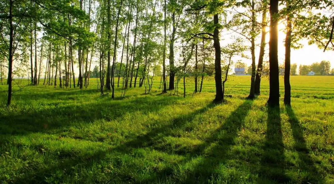 На охорону навколишнього природного середовища Кіровоградщини витратять понад 20 млн фото 1