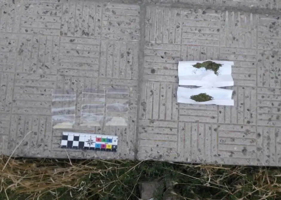 Патрульні поліцейські в Кропивницькому затримали молодиків з двома згортками наркотиків (ФОТО) фото 1