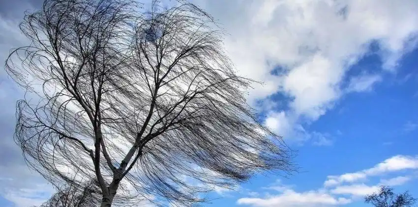 сильний вітер