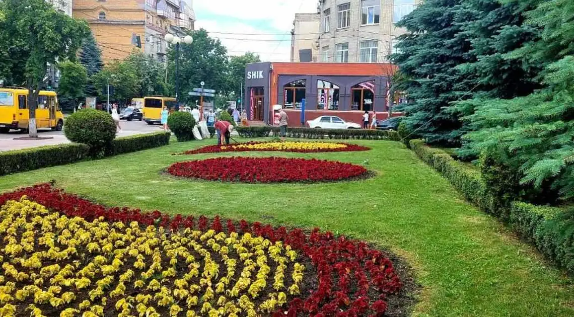 На клумбах у Кропивницькому висадили вже близько 70 тисяч квітів (ФОТО) фото 1