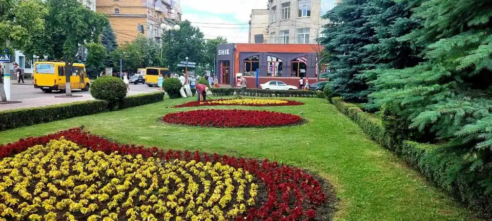 На клумбах у Кропивницькому висадили вже близько 70 тисяч квітів (ФОТО)