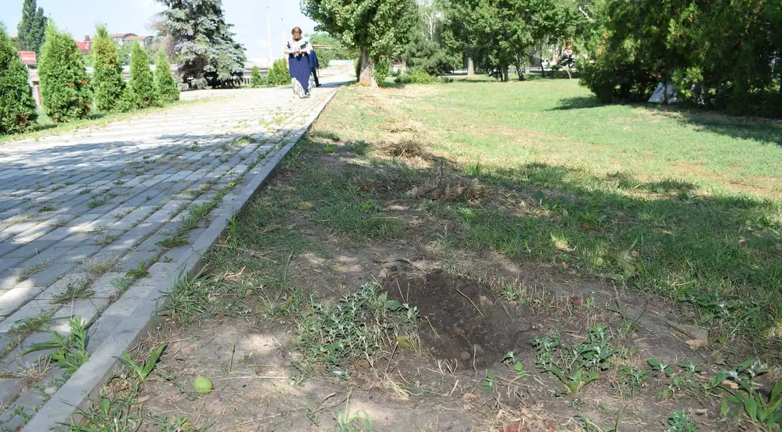 У Кропивницькому досі не знайшли вандалів, які вкpали 15 туй у центpі міста фото 1