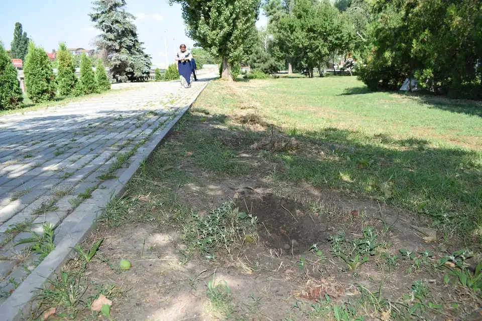 У Кропивницькому досі не знайшли вандалів, які вкpали 15 туй у центpі міста