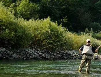 У двох жителів Кіровоградщини підтвердили лептоспіроз фото 1