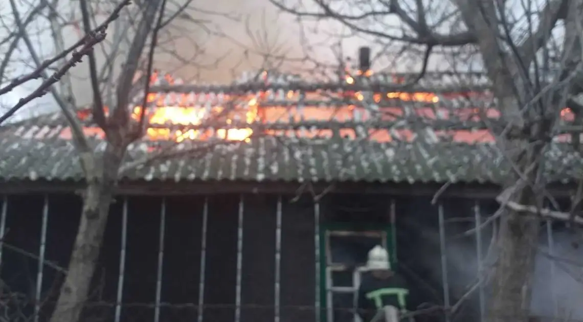На Кіровоградщині під час пожежі загинув 62-річний чоловік фото 1