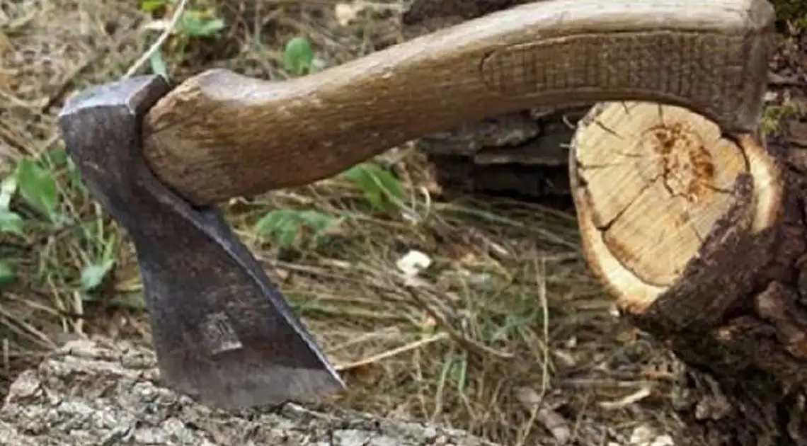 На Кіровоградщині судитимуть чоловіка за незаконну порубку дерев фото 1