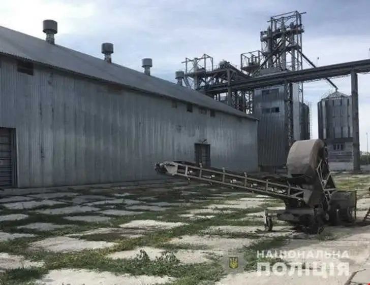 Кiровоградщина: за привласнення зерна на 17 мiльйонiв екс-директору підприємства загрожує ув’язнення фото 1