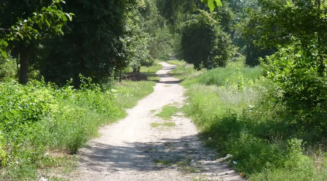 На Кіровоградщині в парку знайшли тіло невідомого чоловіка фото 1