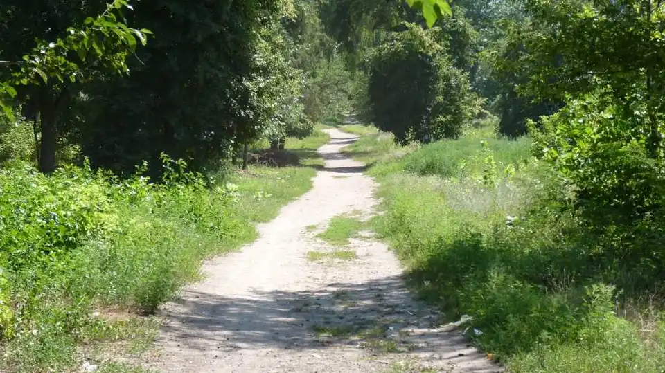 На Кіровоградщині в парку знайшли тіло невідомого чоловіка