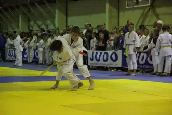 Юні дзюдоїсти з Кіровоградщини вибороли 29 медалей (ФОТО) фото 4