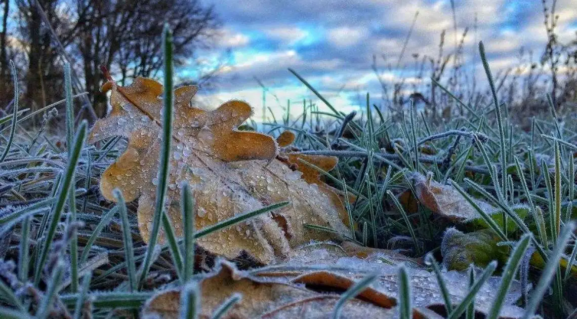 Жителів Кіровоградщини попереджають про заморозки фото 1