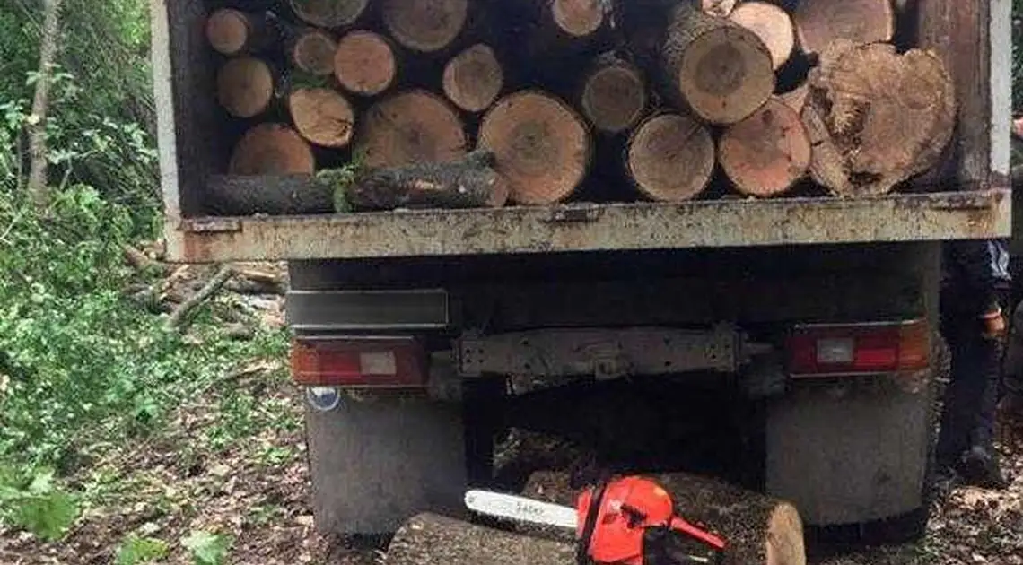 На Кіровоградщині троє чоловіків незаконно нарубали дерев на 90 тис. грн (ФОТО) фото 1