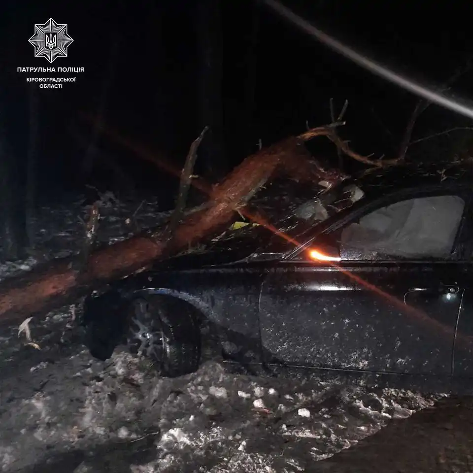 У Кропивницькому водій не впорався з керуванням та в’їхав у дерево (ФОТО) фото 1