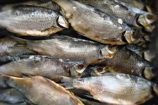 Кіровоградщина: у жінки з підозрою на ботулізм діагноз не підтвердили фото 2