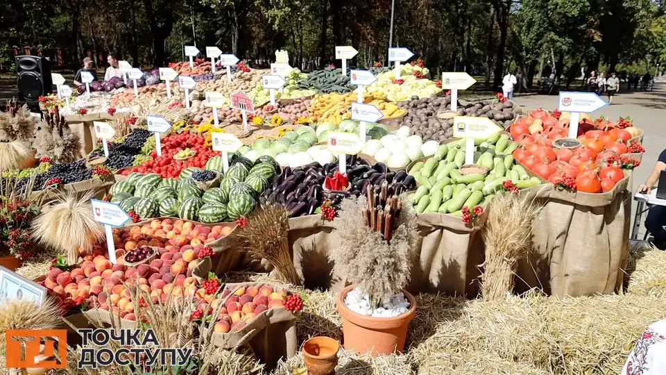 Рекорд України встановили у Кропивницькому – зробили найбільшу інсталяцію з цьогорічним врожаєм
