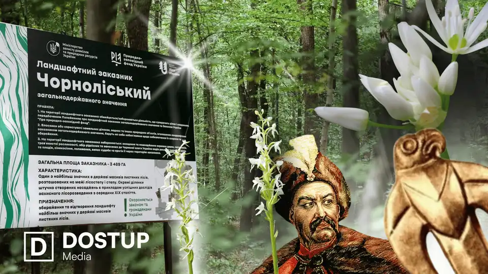 "Найстаріший з нестворених": як Чорний ліс через сто років став національним парком Кіровоградщини фото 1