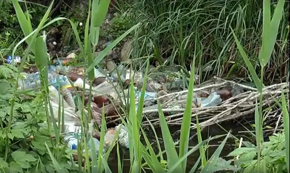 Пластикові пляшки у Кропивницькому заблокували річку (ВІДЕО) фото 1