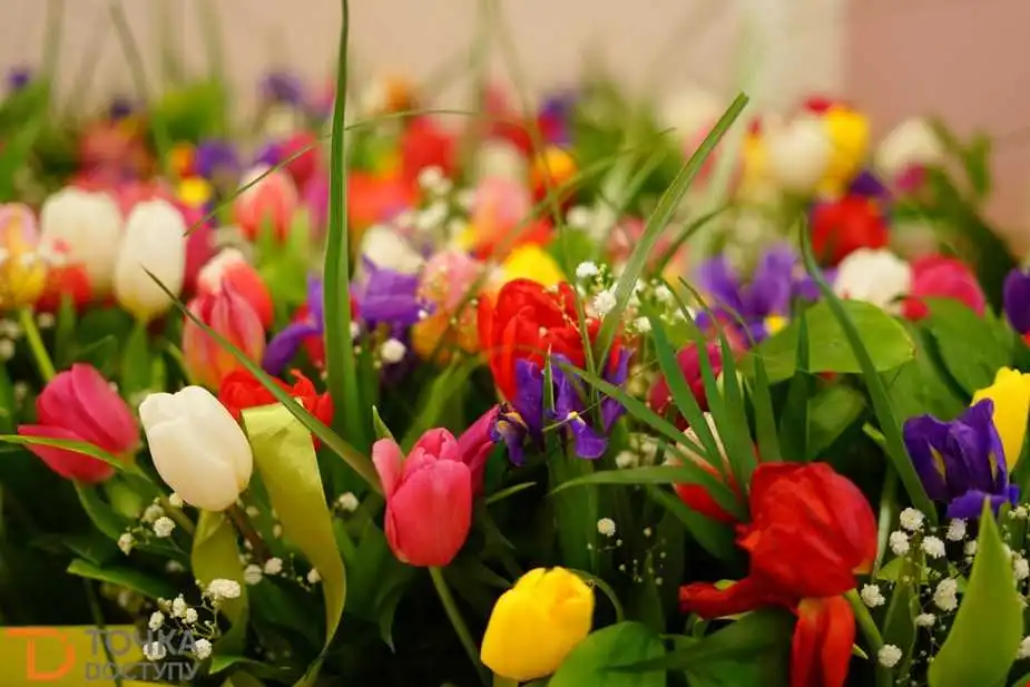 Лісівники Кіpовогpадщини до 8 Беpезня виpостили 2 тисячі тюльпанів (ФОТО)