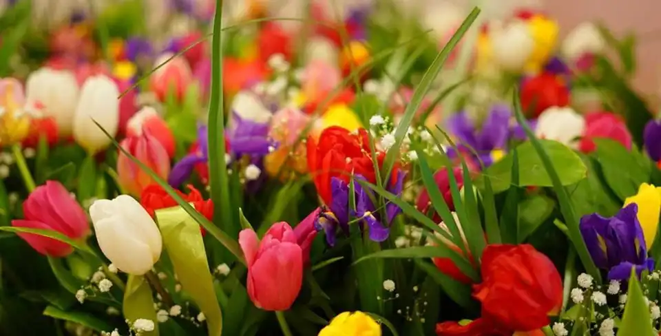 Цього тижня в Кропивницькому знову ярмаркуватимуть