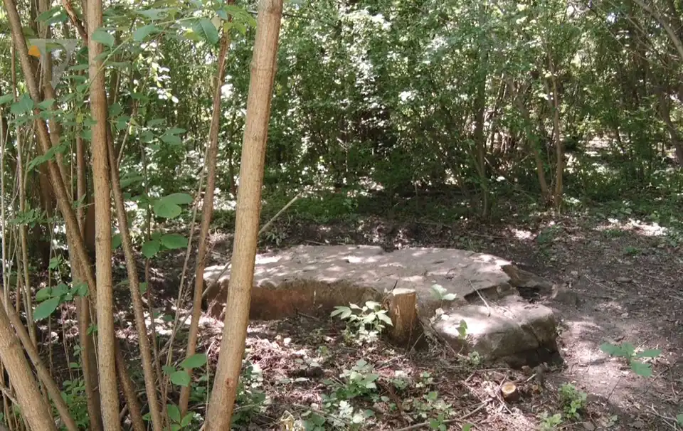 Неймовірне відкриття на Кіровоградщині: археологи знайшли древнє святилище аріїв (ФОТО) фото 1
