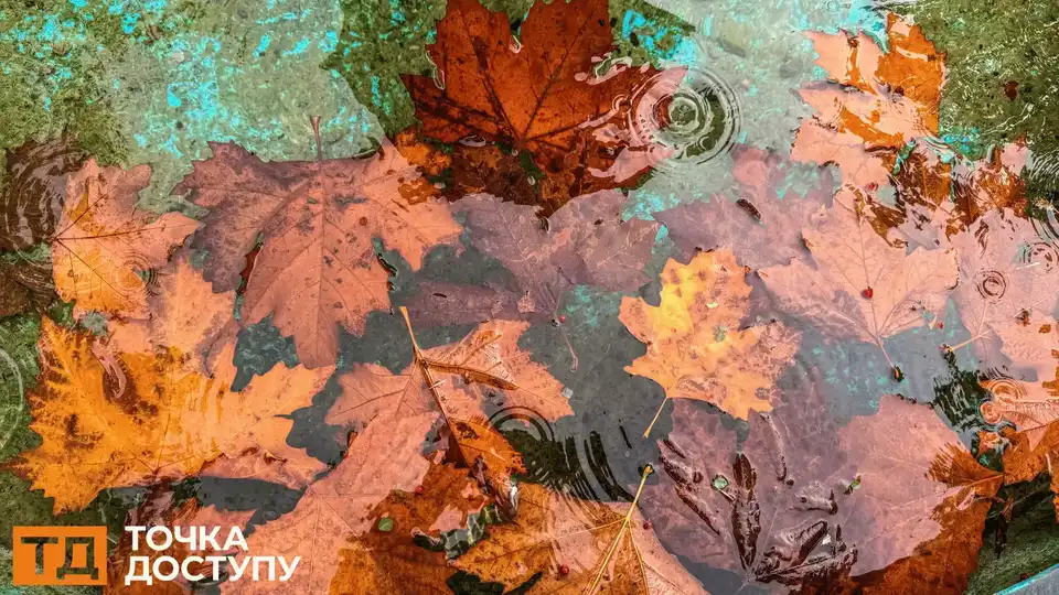 У Кропивницькому й області прогнозують дощ 12 листопада