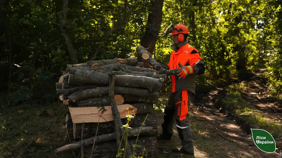 Попит на дрова зріс на Кіровоградщині: скільки коштують та як придбати