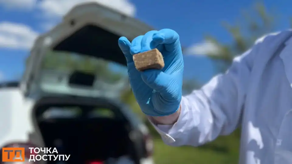 В області розкладають вакцину для тварин