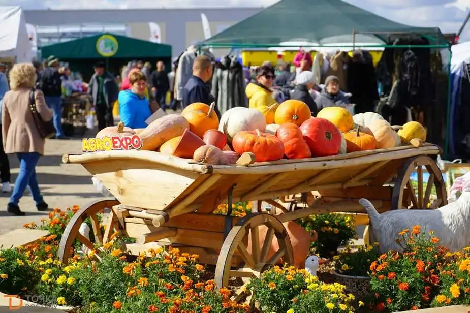 Пропозиції учасників та враження відвідувачів: що пропонує "АгроЕкспо-2018" (ВІДЕО)