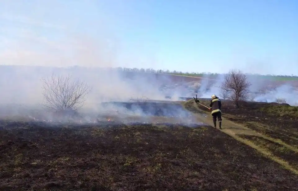 Верховна Рада в десятки разів збільшила штрафи за спалювання трави