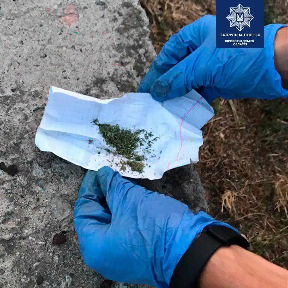 У Кропивницькому посеред вулиці затримали чотирьох осіб із наркотиками