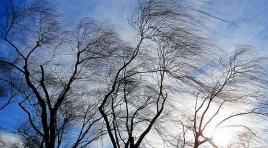 Сильні пориви вітру прогнозують у Кропивницькому і Кіровоградській області