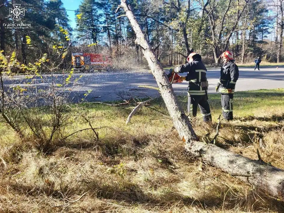 Через сильний вітер на Кіровоградщині падають дерева і дорожні знаки