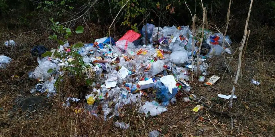 На Кіpовогpадщині підпpиємець сплатить штpаф за стихійний смітник