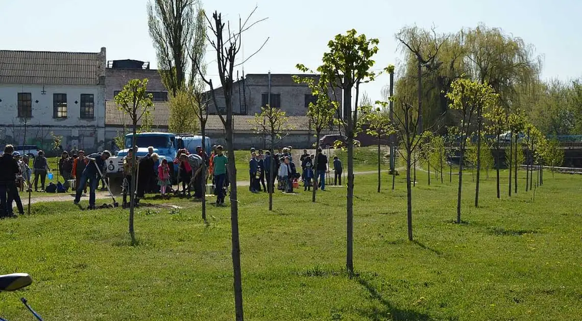 У Кропивницькому облагородять сквер біля спортшколи фото 1