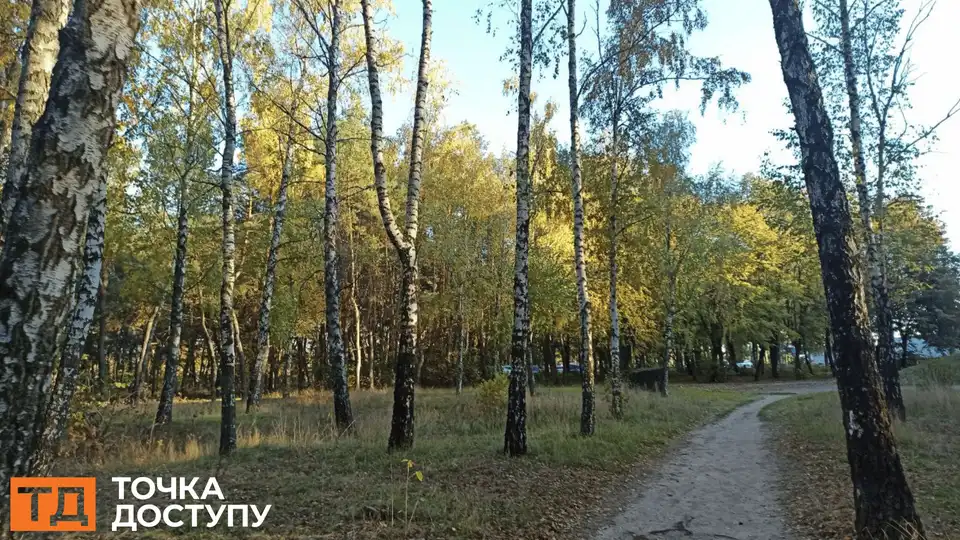 погода у Кропивницькому і області