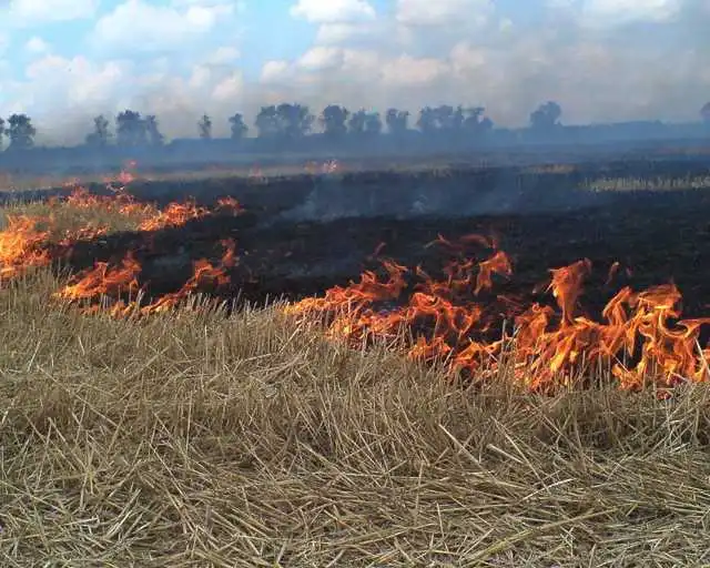 Аграріїв Кіровоградщини покарають за випалені поля (ФОТО) фото 1