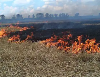 Аграріїв Кіровоградщини покарають за випалені поля (ФОТО) фото 1