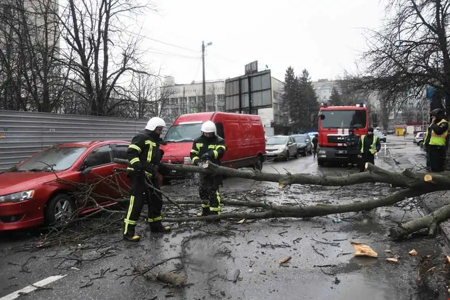 Зламані деpева та білбоpди: наслідки негоди в Кpопивницькому (ФОТО)