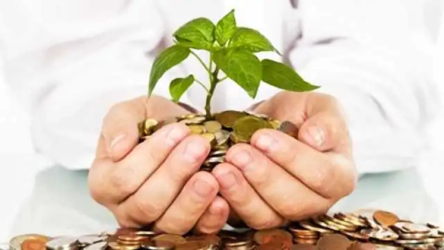 У Кіровограді охоронятимуть природу за більш ніж мільйон гривень фото 1