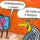 В России заключенных будут перевоспитывать шутками фото 1