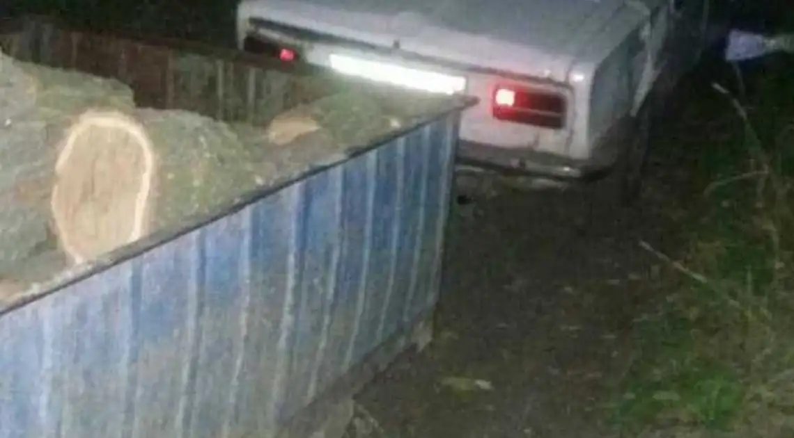 На Кіровоградщині затримали чоловіка, який вночі вирубував лісосмугу (ФОТО) фото 1