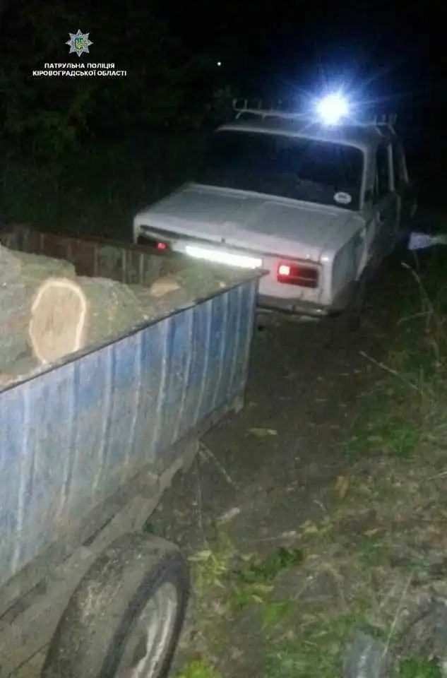 На Кіровоградщині затримали чоловіка, який вночі вирубував лісосмугу (ФОТО)