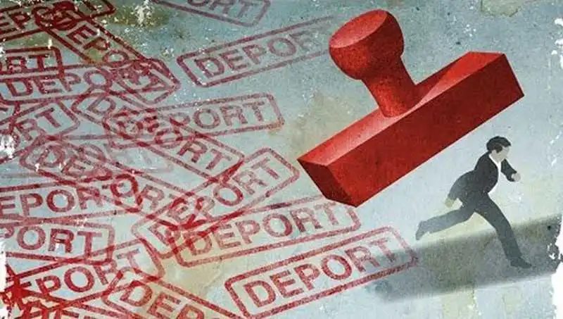 Із Кіровоградщини примусово видворили іноземця фото 2