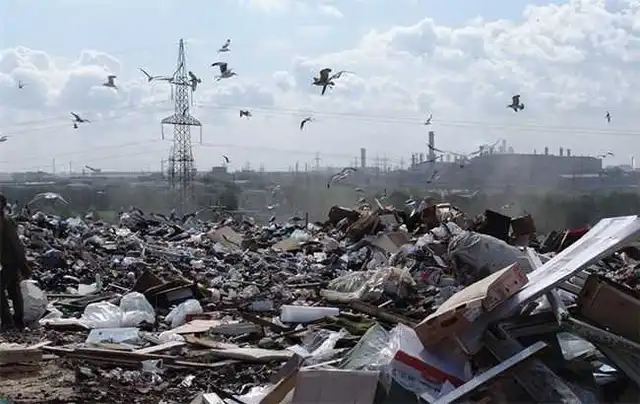 Гроші у смітті: як заробити на переробці відходів (ФОТО)