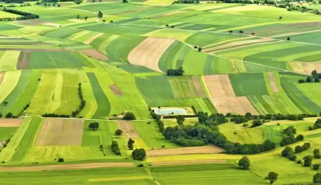 Кіровоградщині повернули зарезервовані землі фото 1
