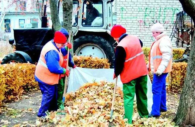 У Кропивницькому опале листя вивозитимуть безкоштовно фото 1