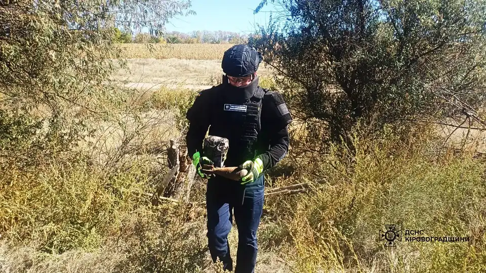 Дві міни часів Другої світової знищили сапери Кіровоградщини