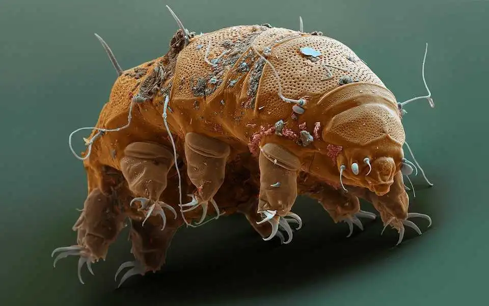 Вчені розповіли, як можуть виглядати інопланетяни (ФОТО)