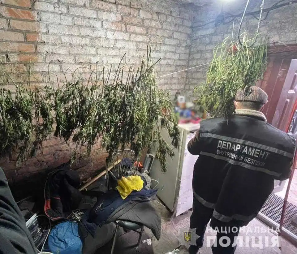 На Кіровоградщині викрили групу наркозбувачів (ФОТО)